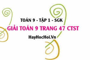 Giải Toán 9 trang 47 tập 1 Chân trời sáng tạo SGK
